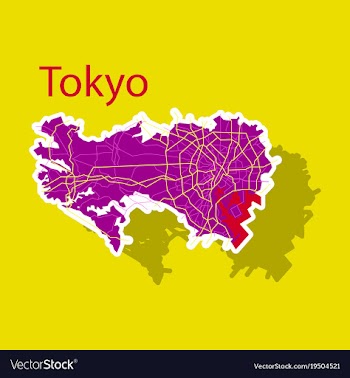 Japan tokyo - top view map showing streets design vector image