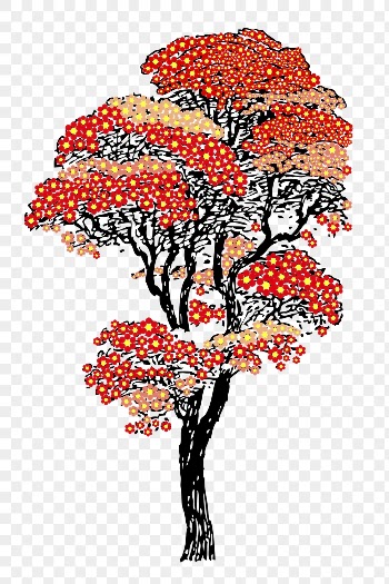 Japanese autumn tree png sticker, | Free PNG - rawpixel