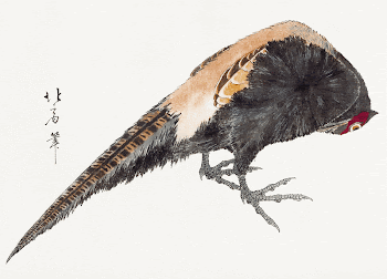 Japanese bird (1830&ndash;1840) vintage prints | Free Photo Illustration - rawpixel