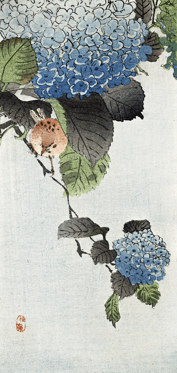 Japanese bird and hydrangea (1860-1910) | Free Photo Illustration - rawpixel