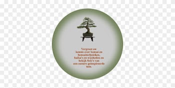 Japanese Bonsai Tree