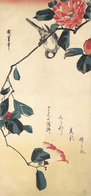 Japanese camellia and bullfinch bird | Free Photo Illustration - rawpixel