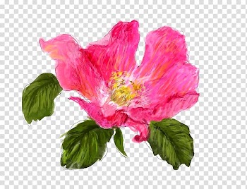 Japanese camellia Icon, Lead color peony transparent background PNG clipart