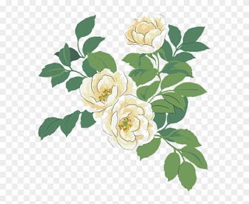 Japanese Camellia Red Watercolor Painting Illustration - Watercolor White And Green Flowers Free Png