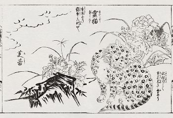 Japanese cat (1679-1748) vintage woodcut | Free Photo Illustration - rawpixel