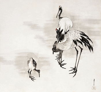 Japanese cranes (1787) vintage painting | Free Photo Illustration - rawpixel