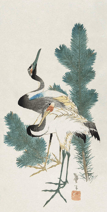 Japanese cranes and pine branch | Free Photo Illustration - rawpixel