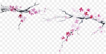 Japanese Cuisine Cherry blossom Flag of Japan - Plum flower 