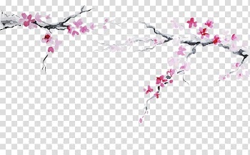 Japanese Cuisine Cherry blossom Flag of Japan, Plum flower transparent background PNG clipart