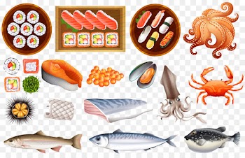Japanese Cuisine Sushi Onigiri Squid as food Seafood - Japanese food illustration 