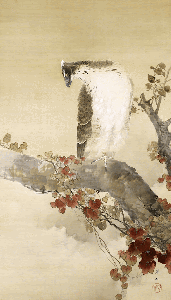 Japanese eagle on a branch | Free Photo Illustration - rawpixel