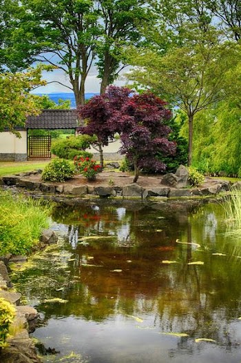 japanese_garden_pond.jpg