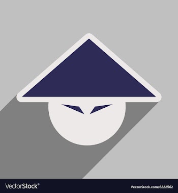 Japanese hats vector image