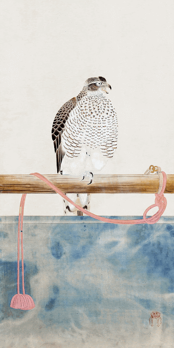 Japanese hawk (19th century) vintage | Free Photo Illustration - rawpixel
