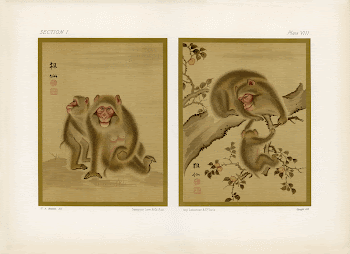 Japanese illustration. From our own | Free Photo - rawpixel