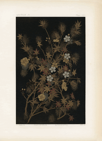 Japanese illustration. From our own | Free Photo - rawpixel