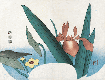 Japanese iris and arrowhead flowers | Free Photo Illustration - rawpixel