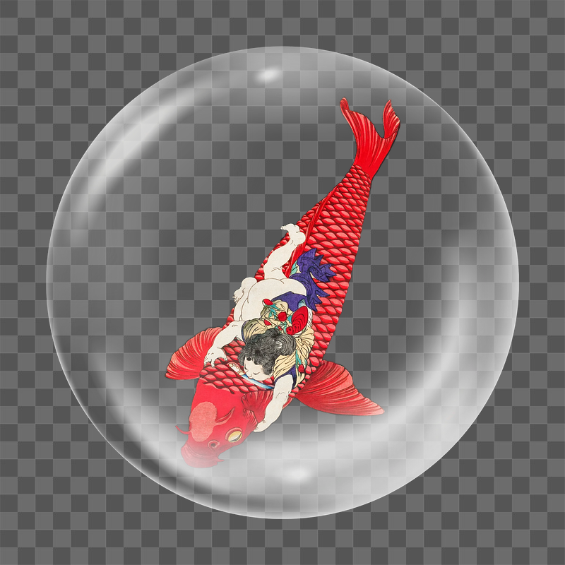 Japanese koi fish png sticker, | Free PNG - rawpixel