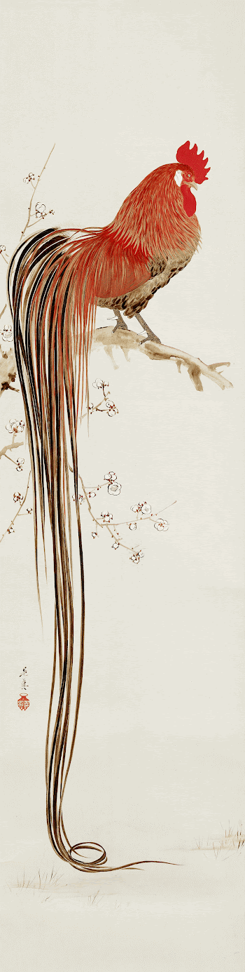 Japanese long-tailed rooster (19th century) | Free Photo Illustration - rawpixel