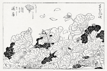 Japanese lotus (1715-1792) vintage woodcut | Free Photo Illustration - rawpixel