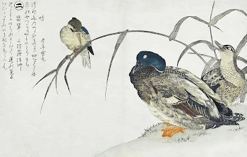 Japanese mallards and kingfisher (1790) | Free Photo Illustration - rawpixel