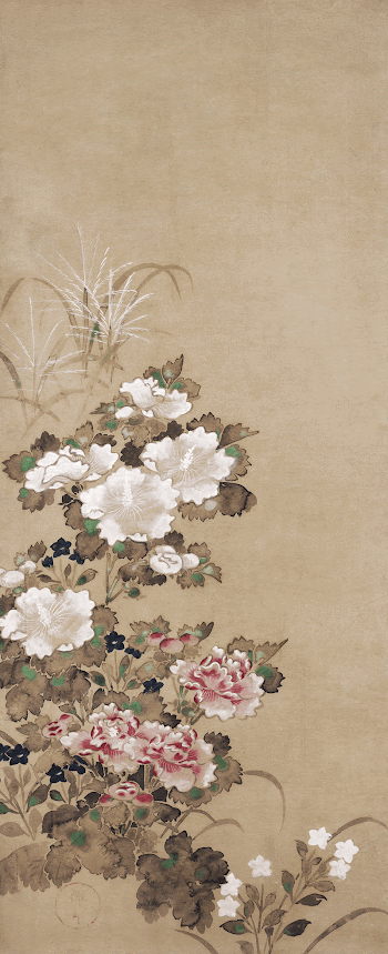 Japanese mallows (17th century) vintage | Free Photo Illustration - rawpixel
