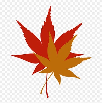 Japanese Maple Leaf Free Clip - Fall Leaves Clip Art