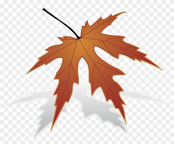 Japanese Maple Maple Leaf Clip Art - Japanese Maple Maple Leaf Clip Art