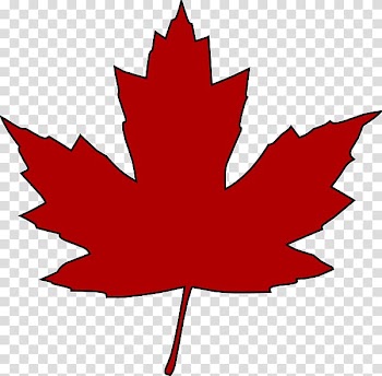 Japanese maple Maple leaf , maple leaf transparent background PNG clipart