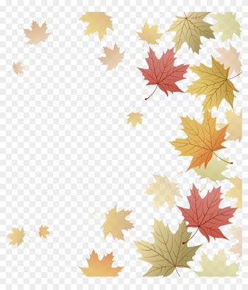 Japanese Maple Red Maple Maple Leaf Autumn - Japanese Maple Red Maple Maple Leaf Autumn
