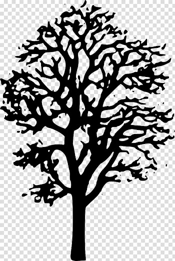 Japanese maple Tree , tree transparent background PNG clipart