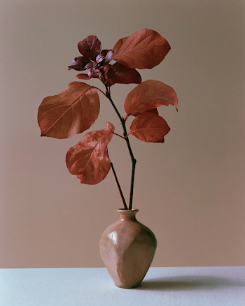 Japanese Minimalist Ikebana Arrangement