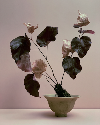 Japanese Minimalist Ikebana Arrangement