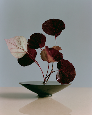 Japanese Minimalist Ikebana Arrangement of Leaves