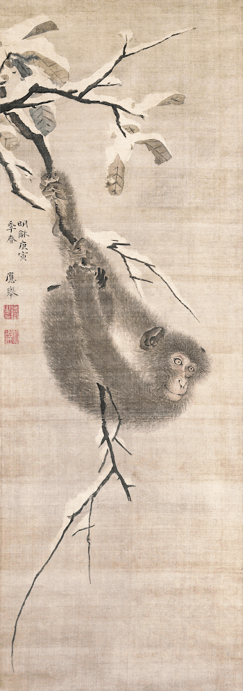 Japanese monkey on branch (1770) | Free Photo Illustration - rawpixel