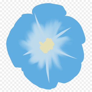 Japanese morning glory Illustration Illustrator Graphics Flowering plant -  