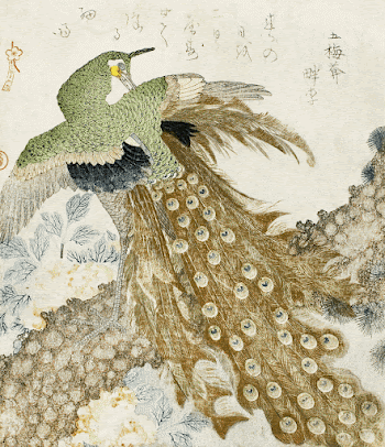 Japanese peacock (1810s) vintage woodblock | Free Photo Illustration - rawpixel