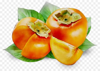 Japanese Persimmon Fruit Date palm Berry -  