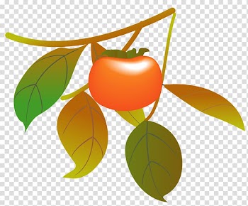 Japanese Persimmon Pacific saury Autumn Drawing, autumn transparent background PNG clipart