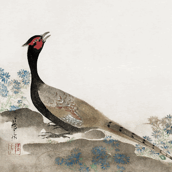 Japanese pheasant (1658&ndash;1716) vintage painting | Free Photo Illustration - rawpixel