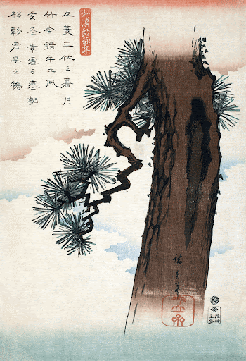 Japanese pine tree (1842-1843) vintage | Free Photo Illustration - rawpixel