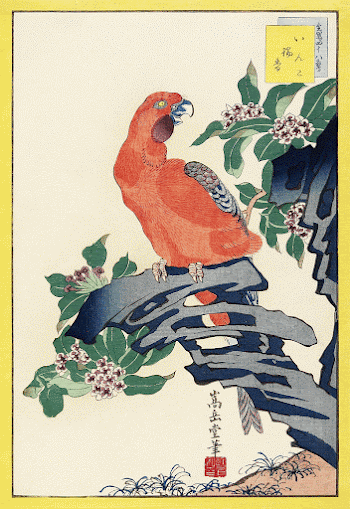 Japanese pink parrot (1859) vintage | Free Photo Illustration - rawpixel