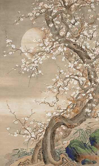 Japanese plum blossoms in moonlight | Free Photo Illustration - rawpixel