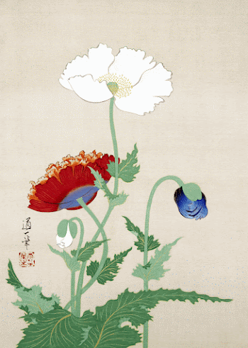 Japanese poppies (1845 - 1913) | Free Photo Illustration - rawpixel
