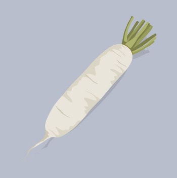 Japanese radish clipart, vegetable illustration | Free Vector Illustration - rawpixel