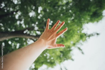 Japanese Sign Language