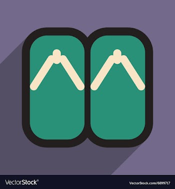 Japanese slippers vector image