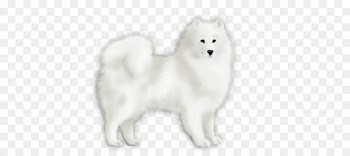 Japanese Spitz, American Eskimo Dog, Pomeranian, Mammal, Dog PNG