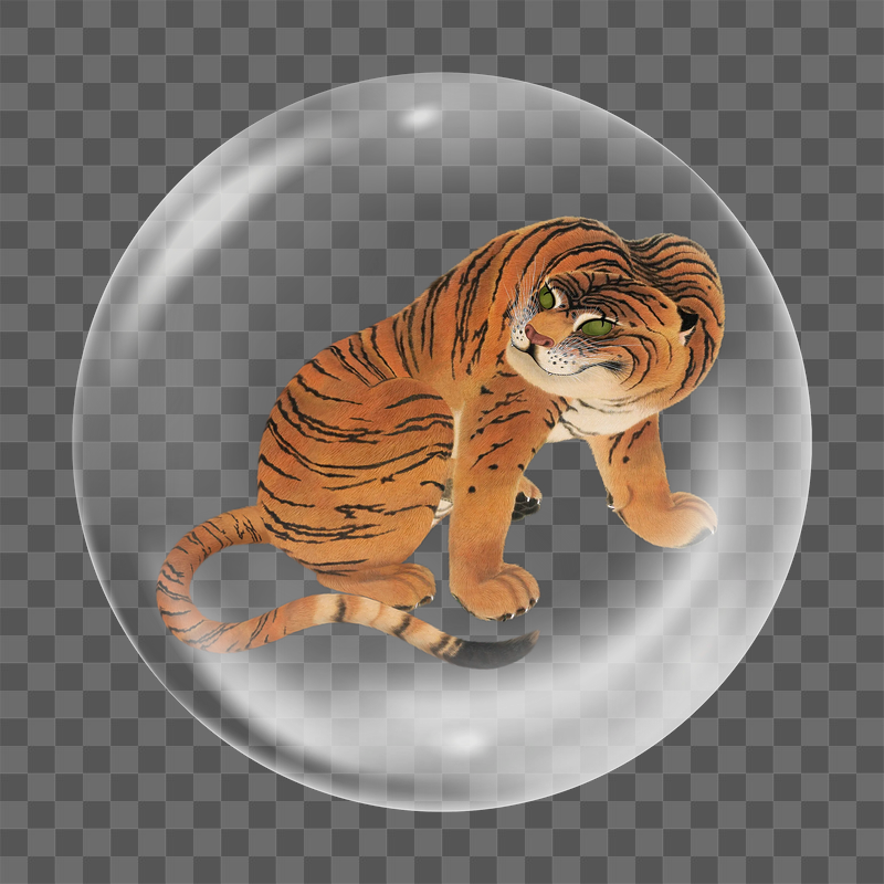 Japanese tiger png sticker, bubble | Free PNG - rawpixel