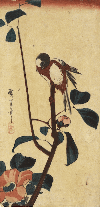 Japanese Tit on Camellia BranchOriginal | Free Photo - rawpixel